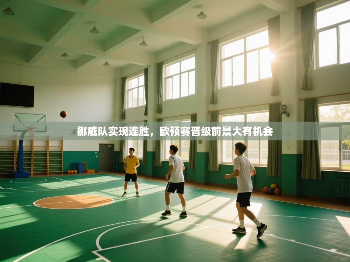 挪威队实现连胜，欧预赛晋级前景大有机会  第1张