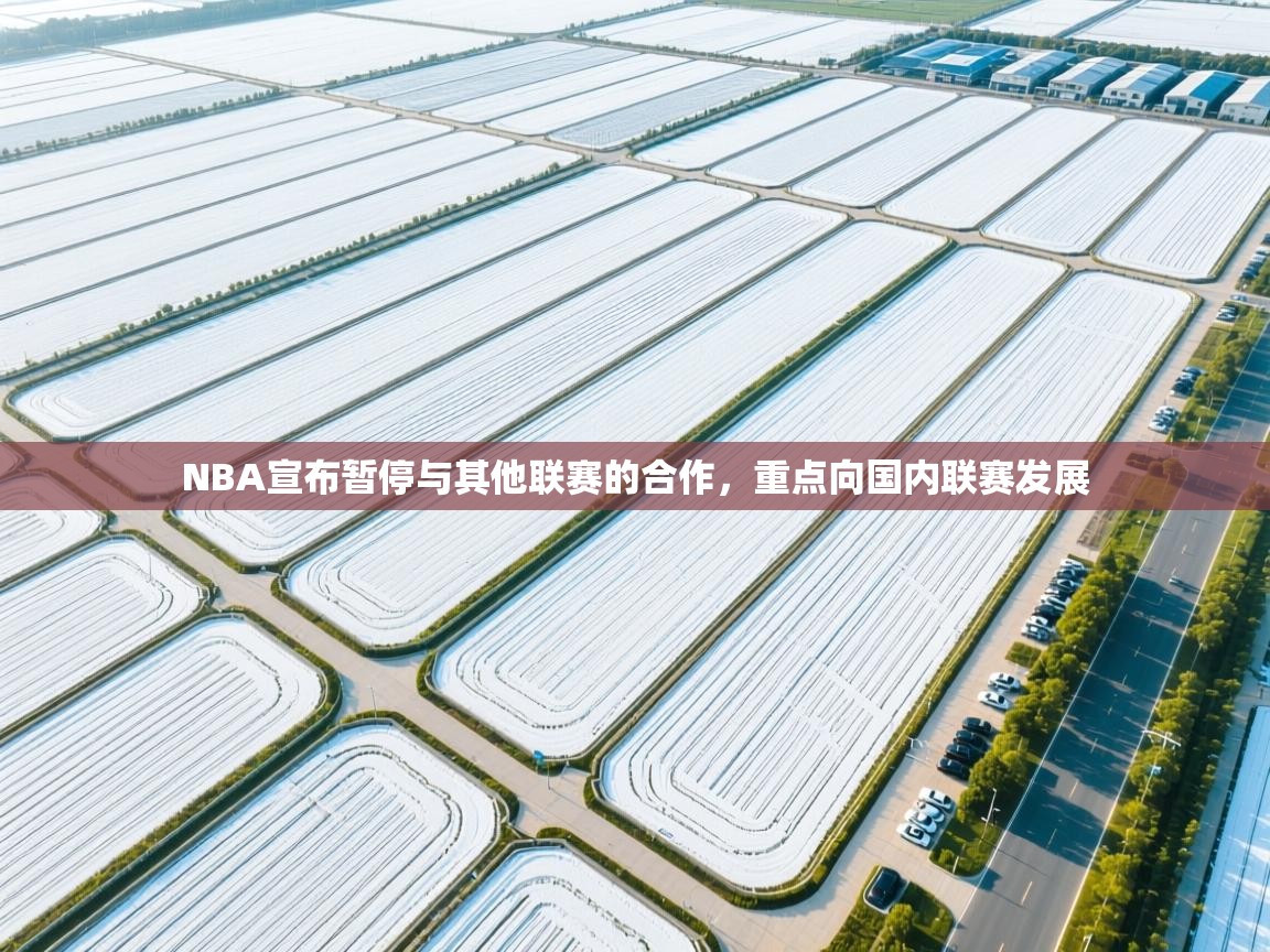 NBA宣布暂停与其他联赛的合作，重点向国内联赛发展  第1张