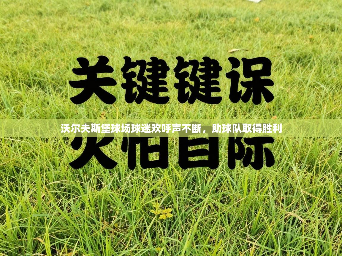 沃尔夫斯堡球场球迷欢呼声不断，助球队取得胜利  第1张