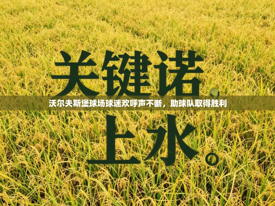 沃尔夫斯堡球场球迷欢呼声不断，助球队取得胜利  第2张