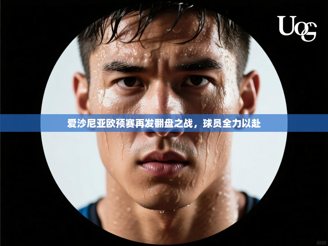 爱沙尼亚欧预赛再发翻盘之战，球员全力以赴  第2张