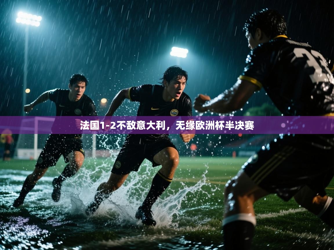 法国1-2不敌意大利，无缘欧洲杯半决赛  第2张