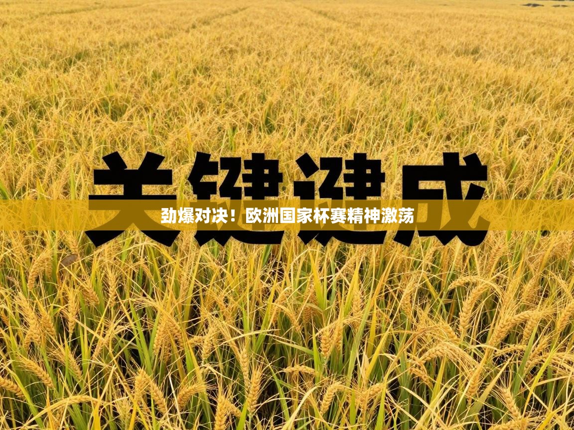 劲爆对决!欧洲国家杯赛精神激荡 第1张
