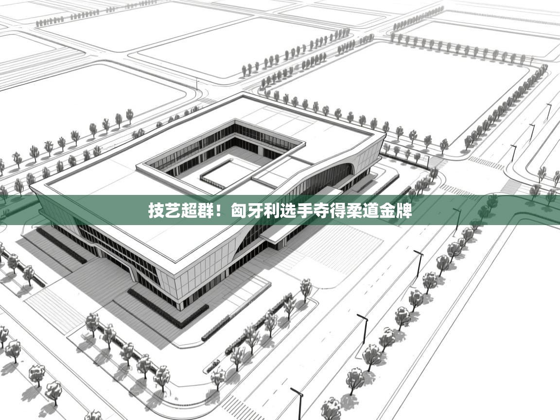 技艺超群！匈牙利选手夺得柔道金牌  第1张