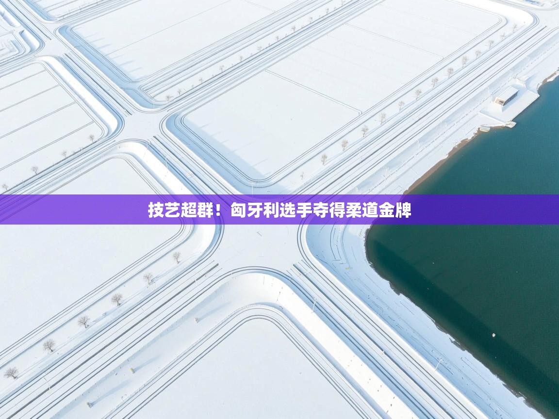 技艺超群！匈牙利选手夺得柔道金牌  第2张