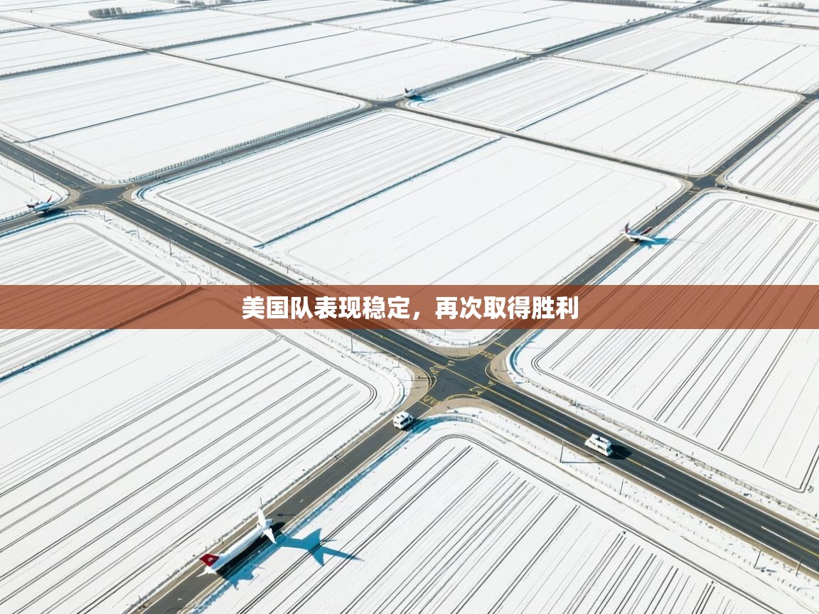 美国队表现稳定,再次取得胜利 第1张