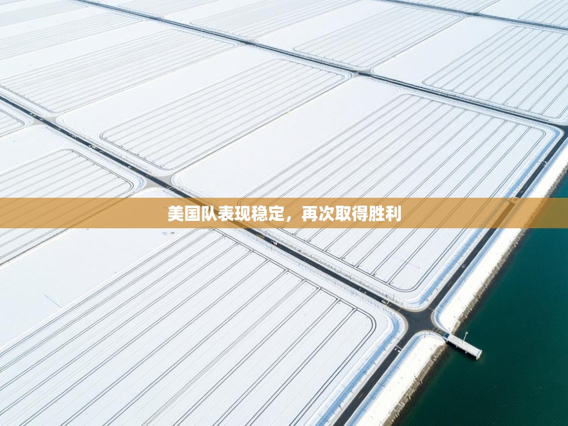 美国队表现稳定,再次取得胜利 第2张