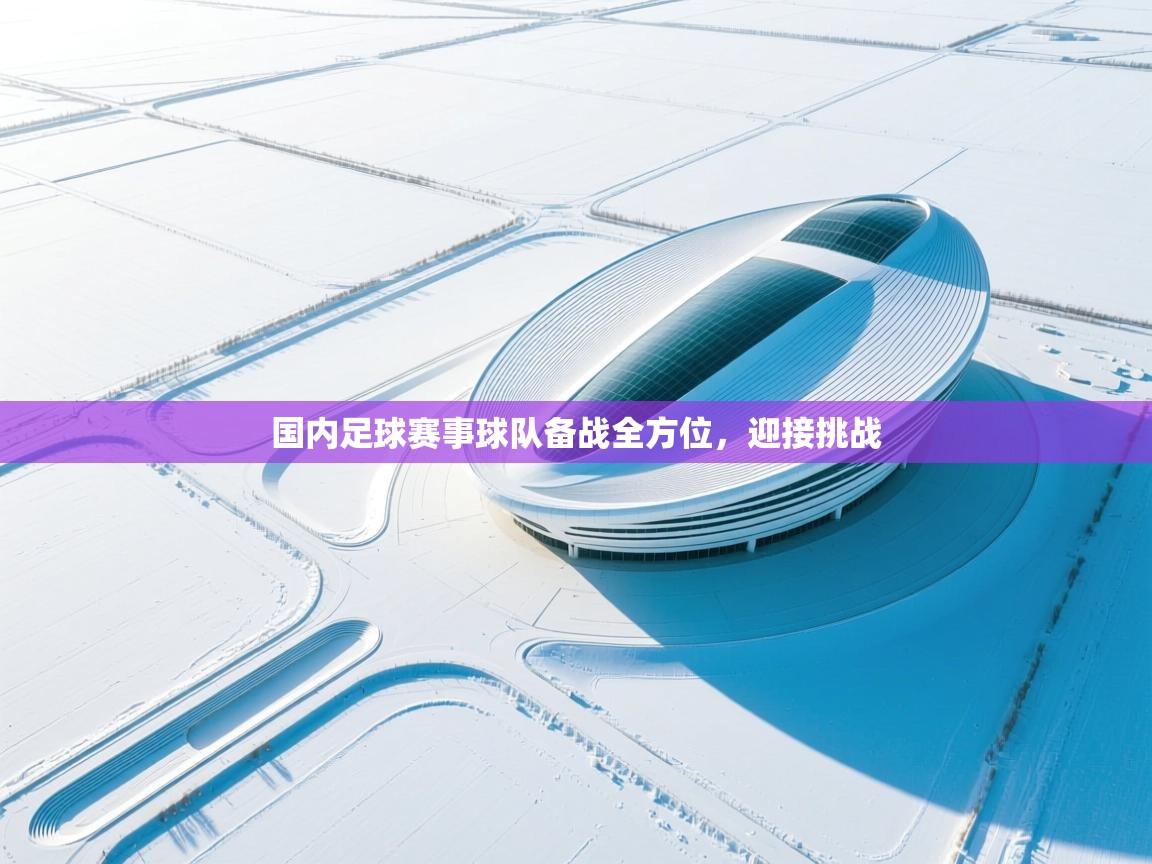 国内足球赛事球队备战全方位,迎接挑战 第2张