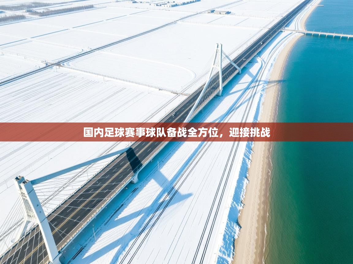 国内足球赛事球队备战全方位,迎接挑战 第1张