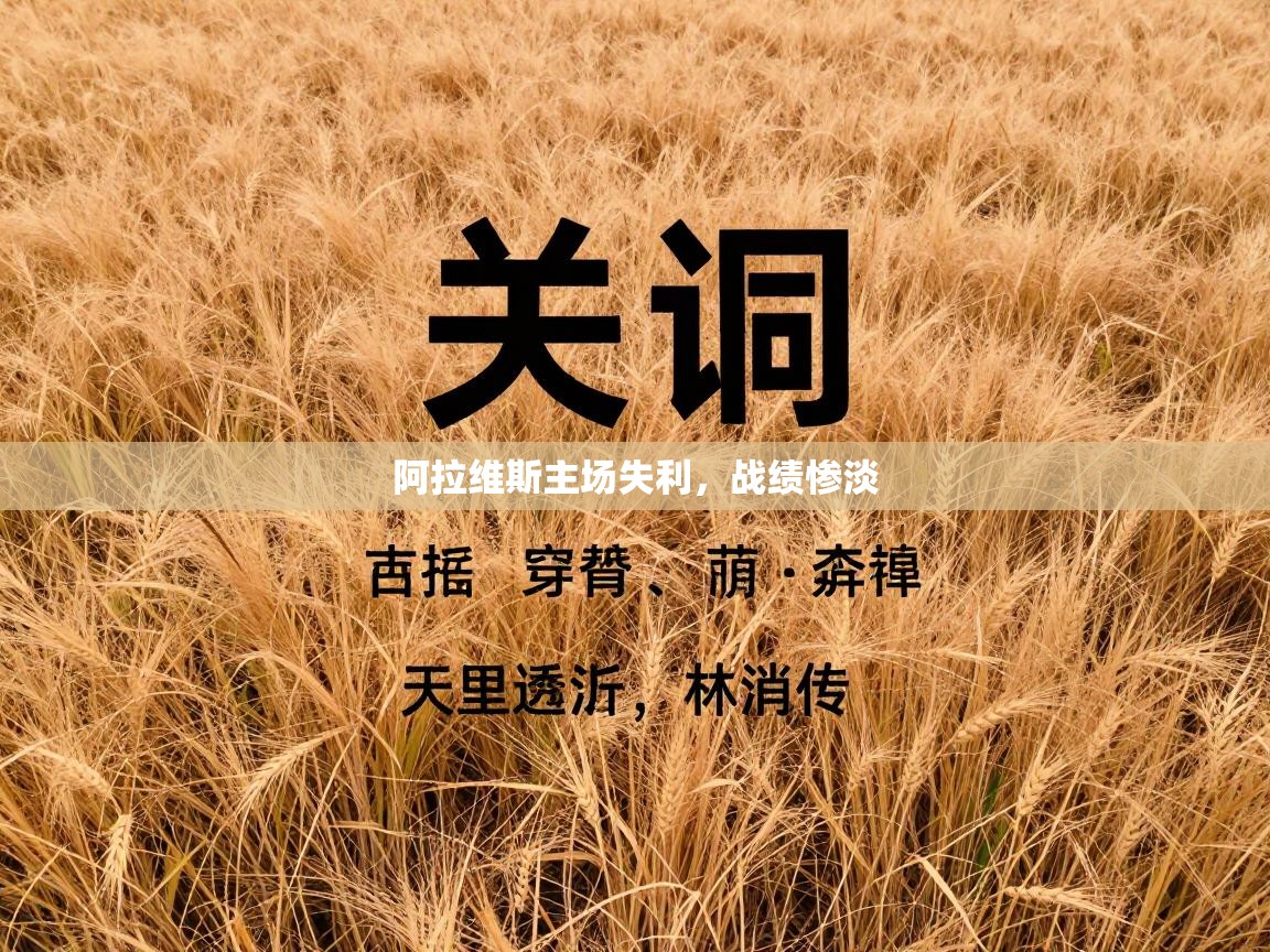 阿拉维斯主场失利,战绩惨淡 第2张