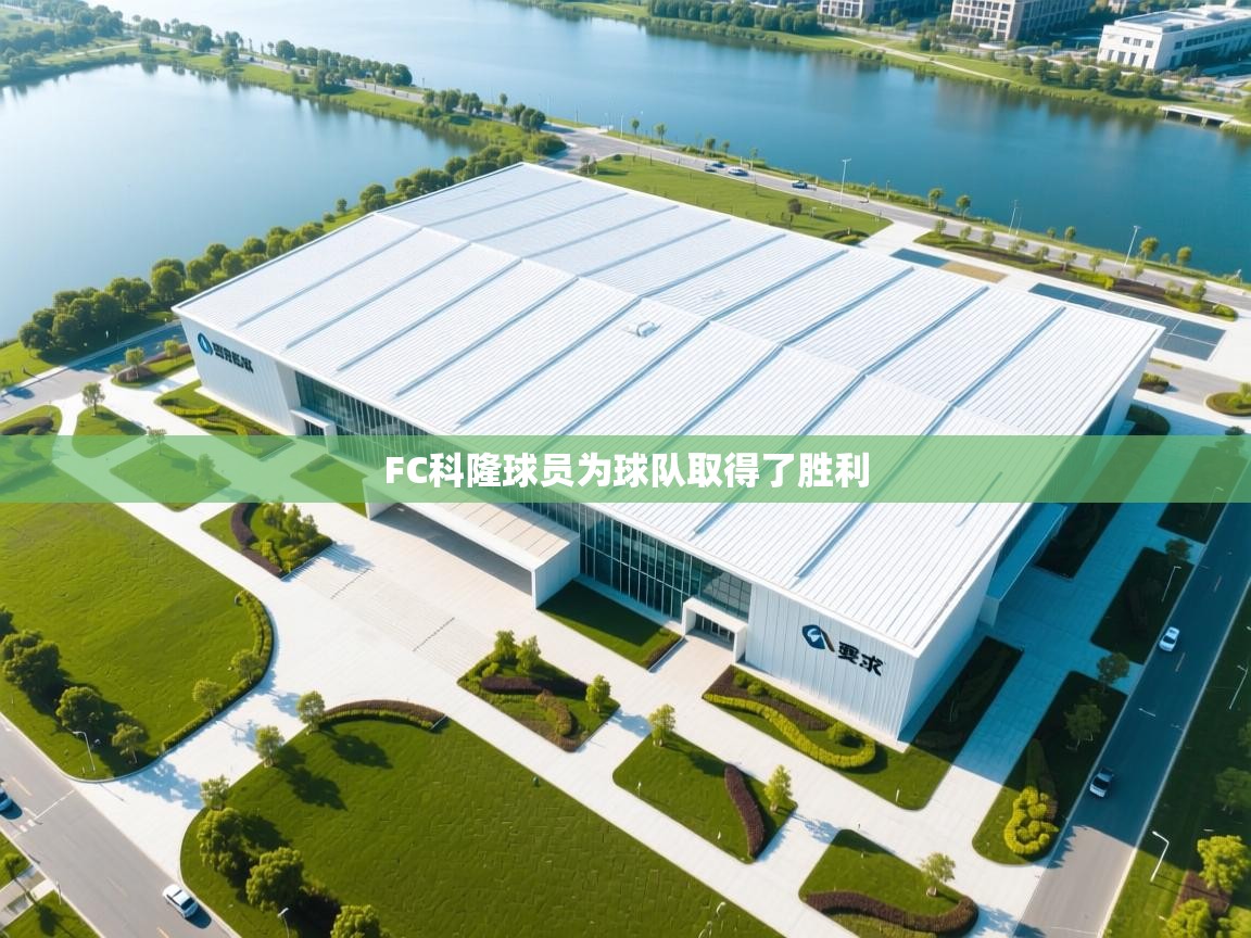 FC科隆球员为球队取得了胜利 第1张