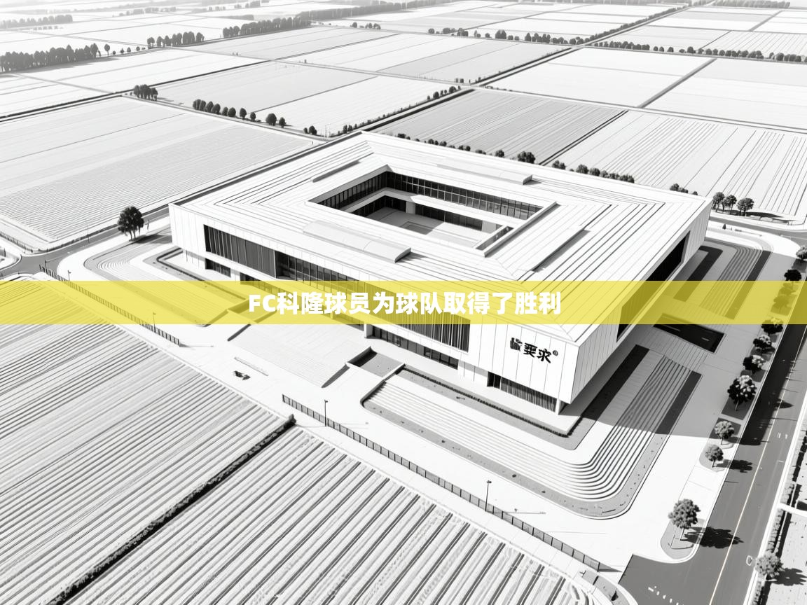 FC科隆球员为球队取得了胜利 第2张