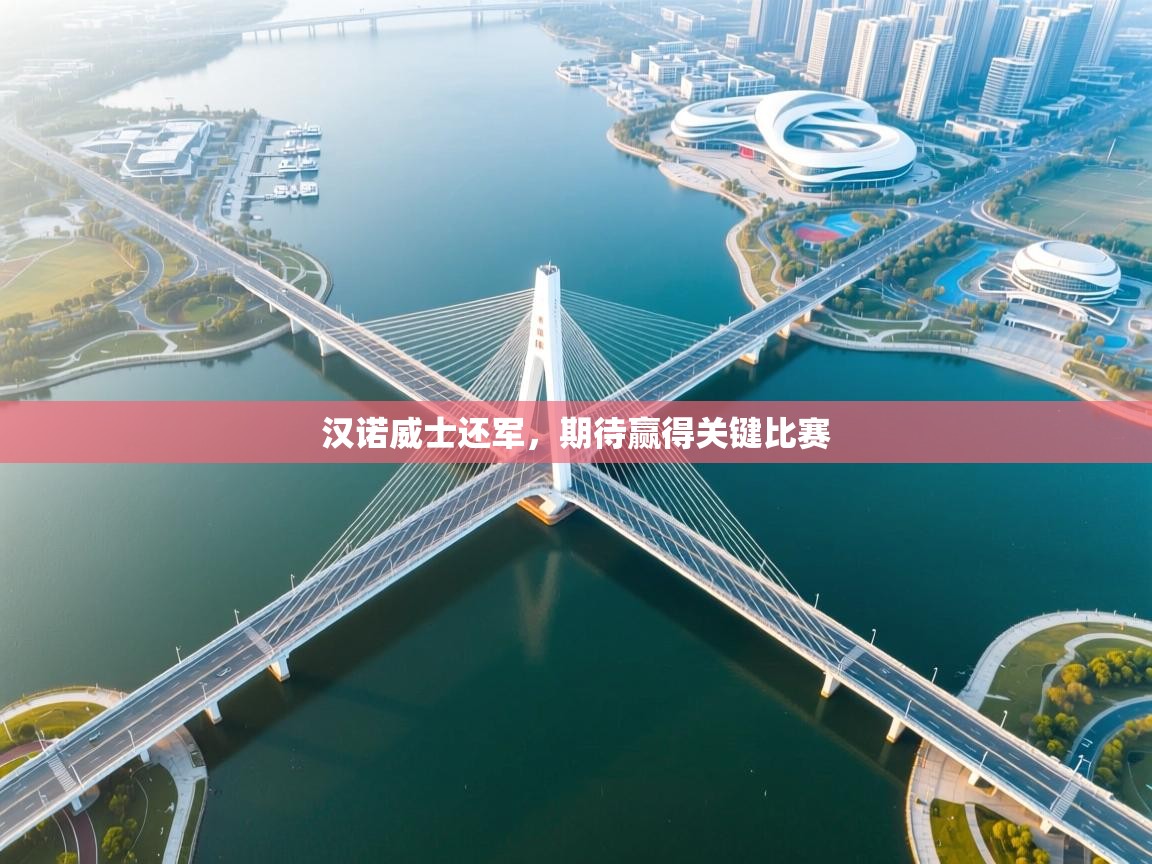 汉诺威士还军,期待赢得关键比赛 第1张